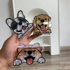 Cute Cartoon Dog Acrylic Medium Size Hair Claw Trendy Personality Hair Claw Shark Clip Hairpin Hair Ornaments Hair Accessories New