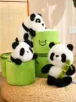 Adorable Panda Plushie Inside Bamboo | Soft and Huggable Toy