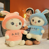 Soft and Squishy Bunny Plush Toy