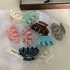 Exquisite Acetate Grip High Ponytail Pumpkin Hair Claw Back Head Hairpin Headdress Female Shark Clip High-Grade Hairpin