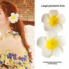 Dai people dress up seaside holiday egg flower hairpin travel photography headdress flower side clip small size fairy hairpin