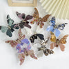 Colorful Butterfly Hair Grasp  Japan and  Clear Grasp Clip Medium Acetic Acid Plate High Horse Tail Hair Grasp Hair Accessories Women